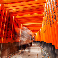 Buy canvas prints of Japan Buddhist temple Torii gates Taisha sacred sh by Spotmatik 