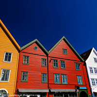 Buy canvas prints of Bergen Norway a colorful wooden clad boat houses  by Spotmatik 