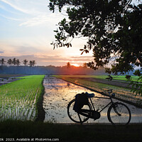 Buy canvas prints of Sunset Java Indonesian bicycle rice paddy fields Asia by Spotmatik 