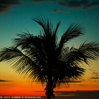 Buy canvas prints of Palm tree at sunset tropical Island beach America by Spotmatik 