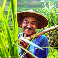 Buy canvas prints of Portrait Bali man collecting rice plants bamboo baskets  by Spotmatik 