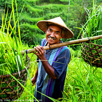 Buy canvas prints of Indonesian traditional male worker on hillside rice field  by Spotmatik 