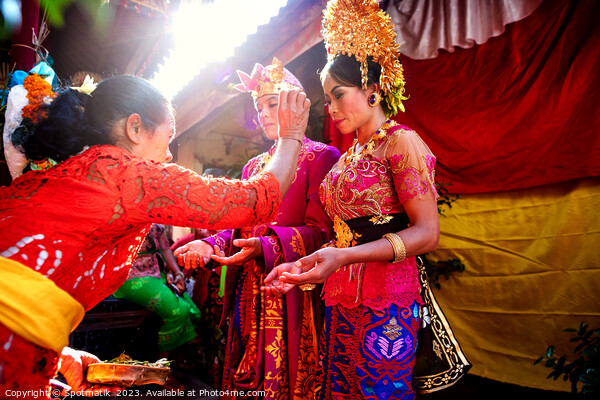 Wedding Balinese wedding bride groom attending the Ceremony  Picture Board by Spotmatik 