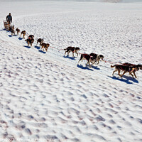 Buy canvas prints of Aerial view sledging dog handler Chugach mountains America by Spotmatik 