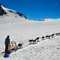 Buy canvas prints of Aerial view tourist sledging tours Chugach Mountains Alaska by Spotmatik 