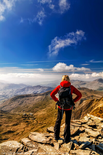 Young female hiker Hiking on mountain summit Wales Picture Board by Spotmatik 