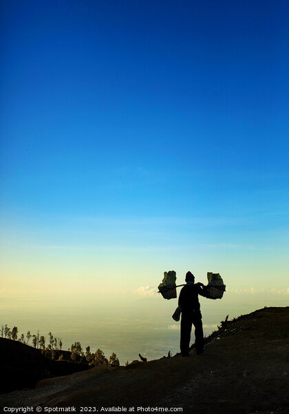 Indonesian worker carrying sulphur blocks from volcano Rim  Picture Board by Spotmatik 