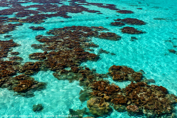 Aerial Coral Reef Lagoon Island Bora Bora  Picture Board by Spotmatik 