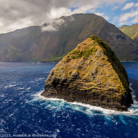 Buy canvas prints of Aerial coastal view rocky seabird sanctuaries Molokai Hawaii  by Spotmatik 