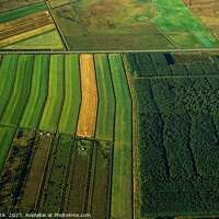 Buy canvas prints of Aerial of Icelandic agricultural farming crops green countryside by Spotmatik 