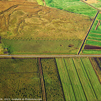 Buy canvas prints of Aerial view of green farming crops Iceland Europe by Spotmatik 