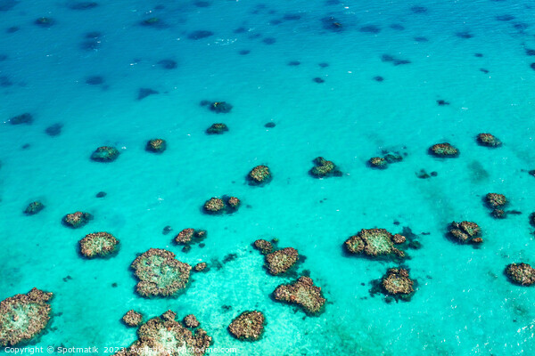 Aerial Great Barrier Reef Queensland Australia Coral Sea  Picture Board by Spotmatik 