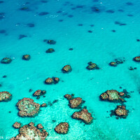 Buy canvas prints of Aerial Great Barrier Reef Queensland Australia Coral Sea  by Spotmatik 
