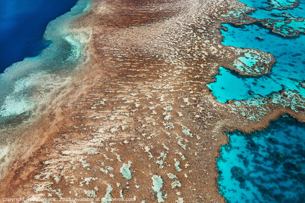 Aerial Australia Great Barrier Reef Queensland South Pacific  Picture Board by Spotmatik 