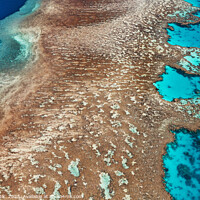Buy canvas prints of Aerial Australia Great Barrier Reef Queensland South Pacific  by Spotmatik 