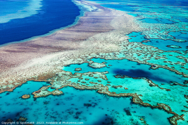 Aerial Great Barrier Reef in tropical Queensland Australia  Picture Board by Spotmatik 