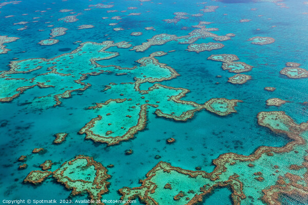 Aerial Great Barrier Reef Australia UNESCO Coral Sea  Picture Board by Spotmatik 