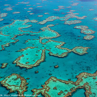 Buy canvas prints of Aerial Great Barrier Reef Australia UNESCO Coral Sea  by Spotmatik 