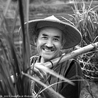 Buy canvas prints of Portrait Bali man collecting rice plants bamboo baskets  by Spotmatik 