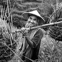 Buy canvas prints of Indonesian traditional male worker on hillside rice field  by Spotmatik 