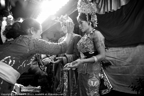 Wedding Balinese wedding bride groom attending the Ceremony  Picture Board by Spotmatik 