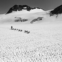 Buy canvas prints of Aerial view of Alaska dogsledding team Chugach Mountains by Spotmatik 