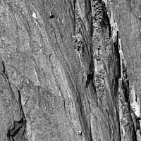 Buy canvas prints of Aerial male rock climber cliff face Squamish Canada by Spotmatik 