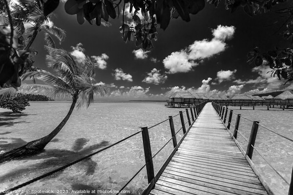 Bora Bora South sea luxury resort Overwater bungalows  Picture Board by Spotmatik 