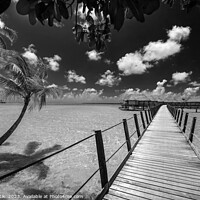 Buy canvas prints of Bora Bora South sea luxury resort Overwater bungalows  by Spotmatik 