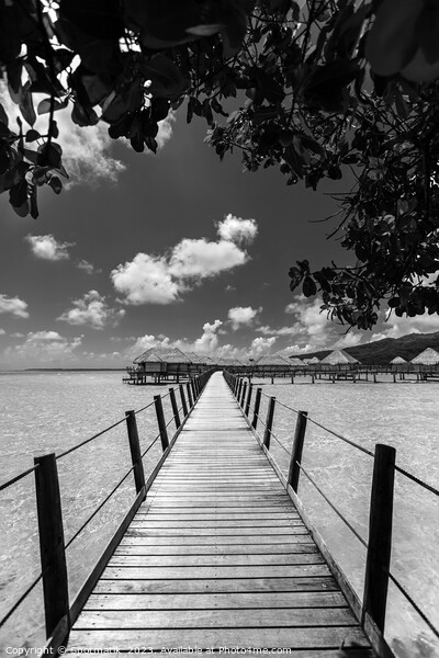 Bora Bora walkway across lagoon luxury Overwater bungalows  Picture Board by Spotmatik 