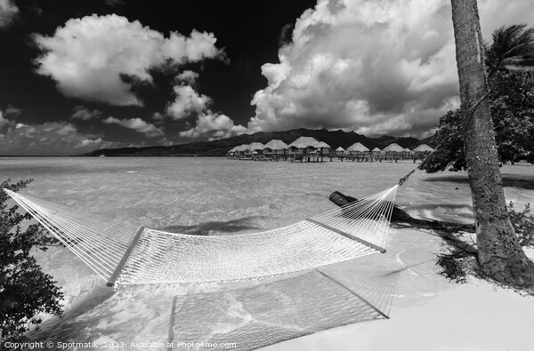 Beach hammock Bora Bora with Overwater luxury Bungalows  Picture Board by Spotmatik 