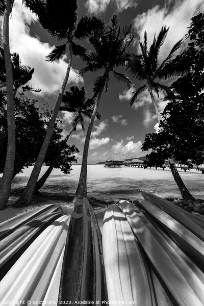 Bora Bora kayak boats Overwater Bungalows tropical lagoon  Picture Board by Spotmatik 