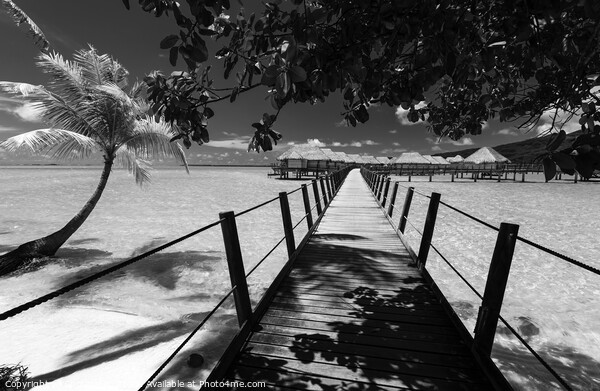 Bora Bora Island walkway jetty Overwater luxury Bungalows  Picture Board by Spotmatik 