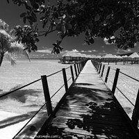 Buy canvas prints of Bora Bora Island walkway jetty Overwater luxury Bungalows  by Spotmatik 