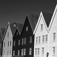 Buy canvas prints of Norway Bergen Multi Colored wooden built Norwegian properties  by Spotmatik 