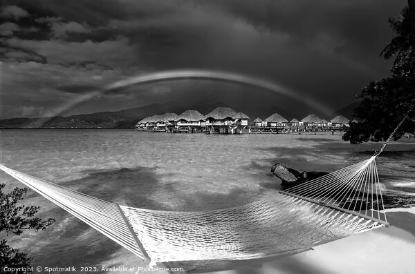 South Pacific rainbow Bora Bora beach resort hammock  Picture Board by Spotmatik 