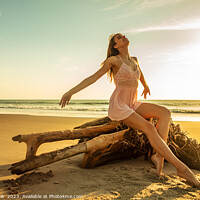 Buy canvas prints of Young Caucasian girl enjoying sun sitting on driftwood  by Spotmatik 
