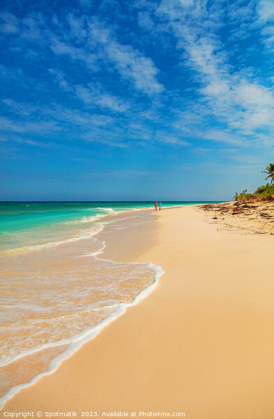 Tropical ocean waves on paradise island beach Bahamas Picture Board by Spotmatik 
