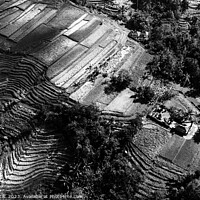 Buy canvas prints of Aerial Bali Indonesia Ubud plantation rice terraces Asia by Spotmatik 