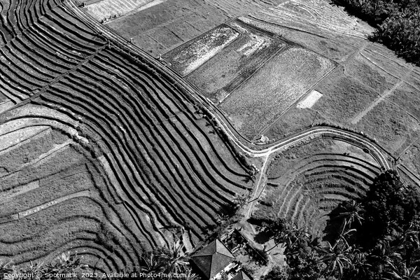 Aerial Bali plantation farming on rice terraces Indonesia Picture Board by Spotmatik 