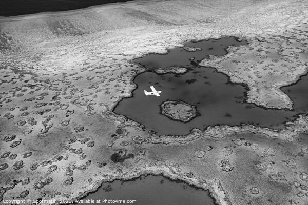 Aerial Australian Great Barrier Reef Queensland Sea Plane Picture Board by Spotmatik 
