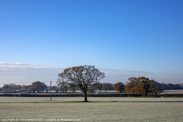 The real Cheshire countryside in winter Picture Board by Chris Brink