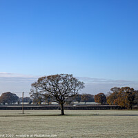 Buy canvas prints of The real Cheshire countryside in winter by Chris Brink