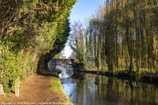 Bridge over Trent & Mersey canal in Cheshire UK Picture Board by Chris Brink