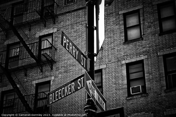 Bleeker and Perry, NYC Picture Board by Cameron Gormley
