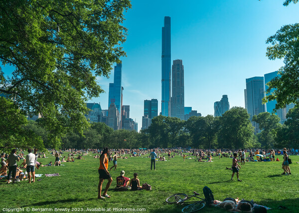 Central Park In The Summer Picture Board by Benjamin Brewty