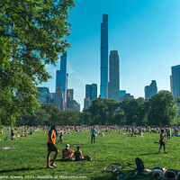 Buy canvas prints of Central Park In The Summer by Benjamin Brewty