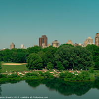 Buy canvas prints of Belvedere Castle View by Benjamin Brewty