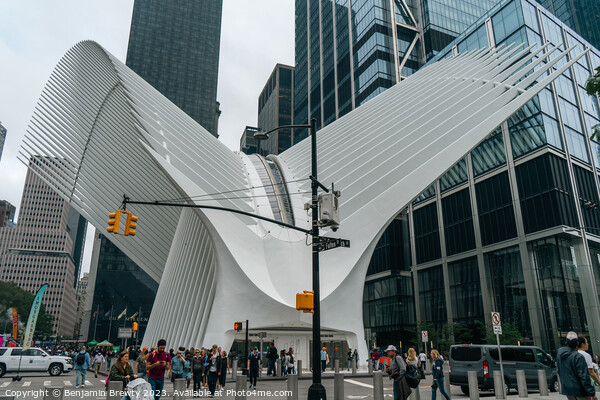 The Oculus New York Picture Board by Benjamin Brewty
