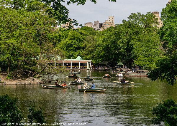 Central Park Boats  Picture Board by Benjamin Brewty